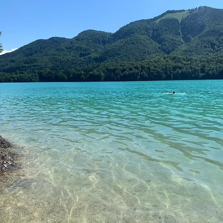 Panoramavista