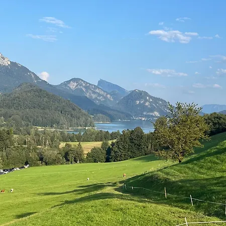 Panoramavista