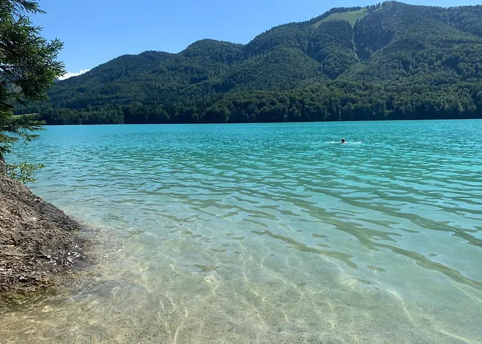 Panoramavista