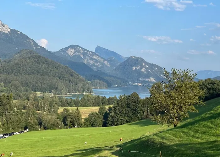 Panoramavista